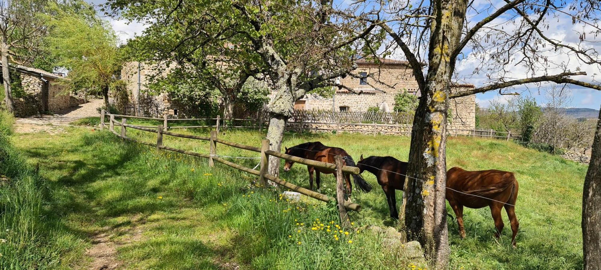 Gites Domaine De Silhac Ardeche Kültér fotó